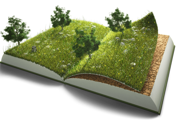 Veranschaulichung eines Buchs mit nachhaltigen Elementen