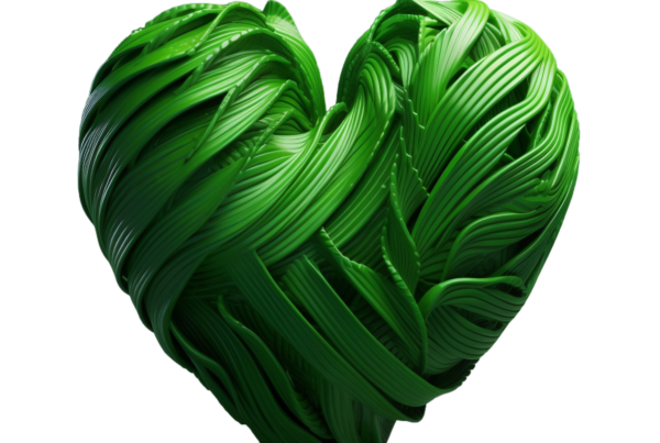 Grünes Herz ohne Hintergrund