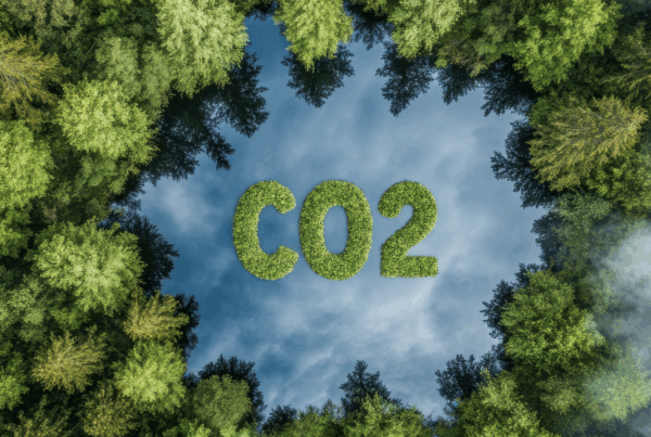 CO2 Kosten Check